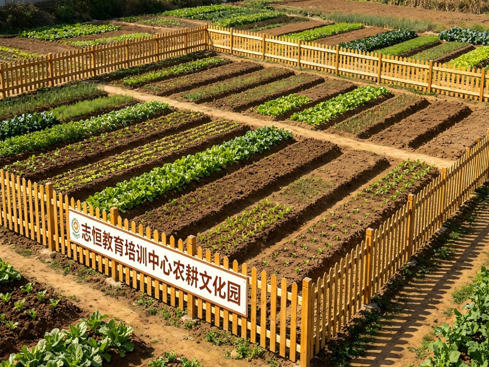 2026推荐亳州可靠的叛逆孩子全封闭管教学校业内推荐